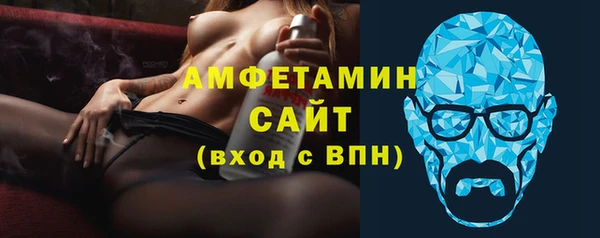 сатива Куртамыш
