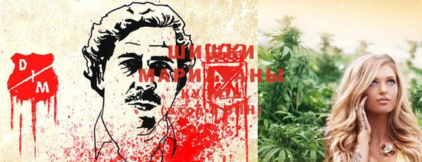 Альфа ПВП Елабуга