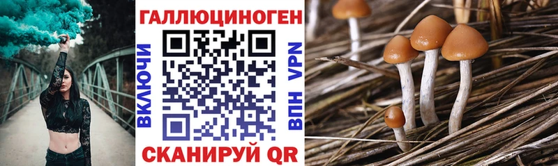 мориарти телеграм  Сердобск  Псилоцибиновые грибы Magic Shrooms  продажа наркотиков 