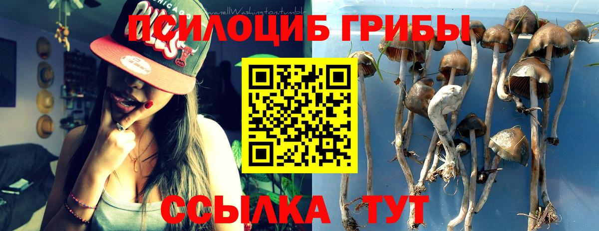 Галлюциногенные грибы Psilocybe  Галлюциногенные грибы мухоморы  Сердобск 